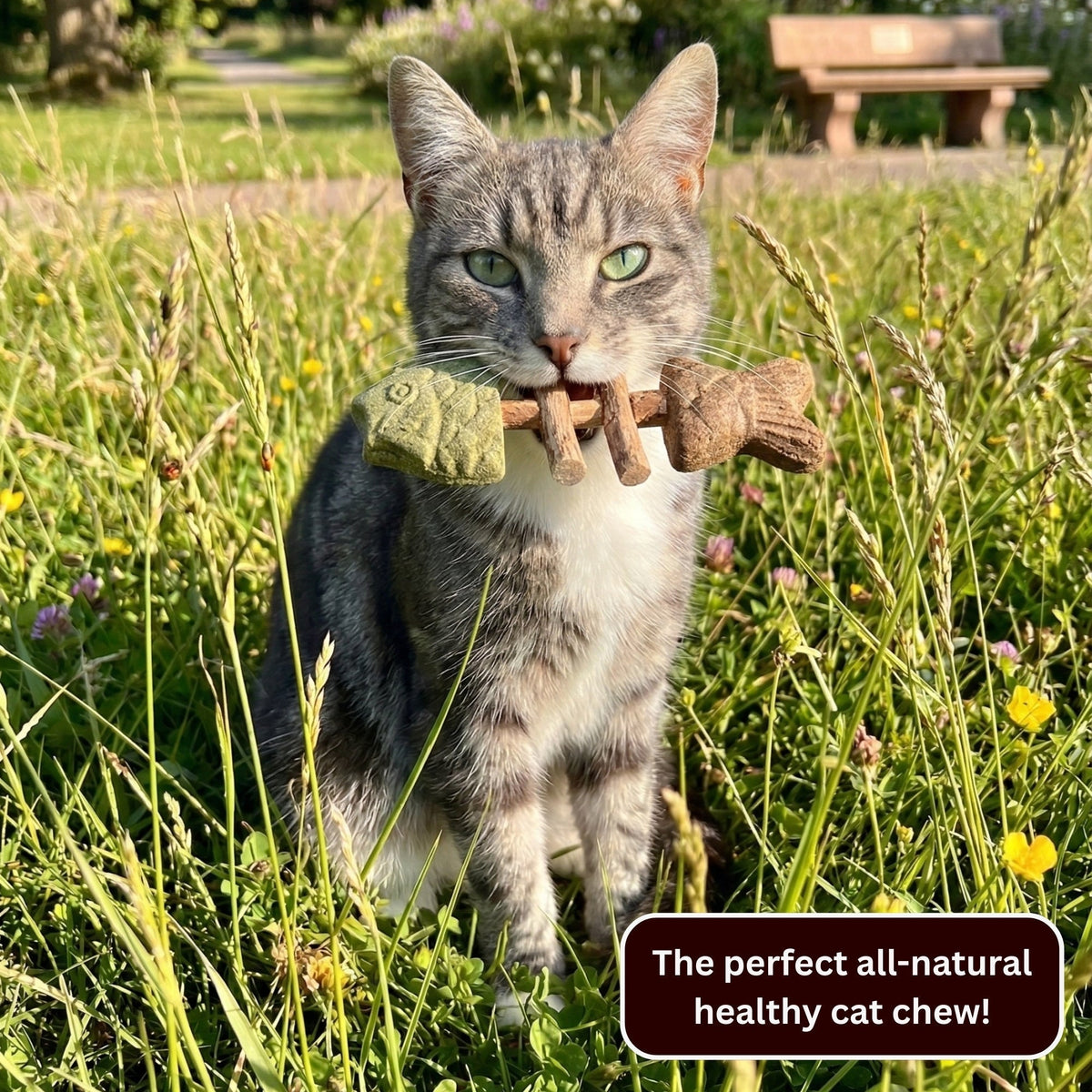 Catnip & Silvervine Chew 🔥