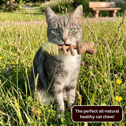 Catnip & Silvervine Chew 🔥